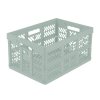 Kosz składany Profi-Klappbox 45L jasno zielony
